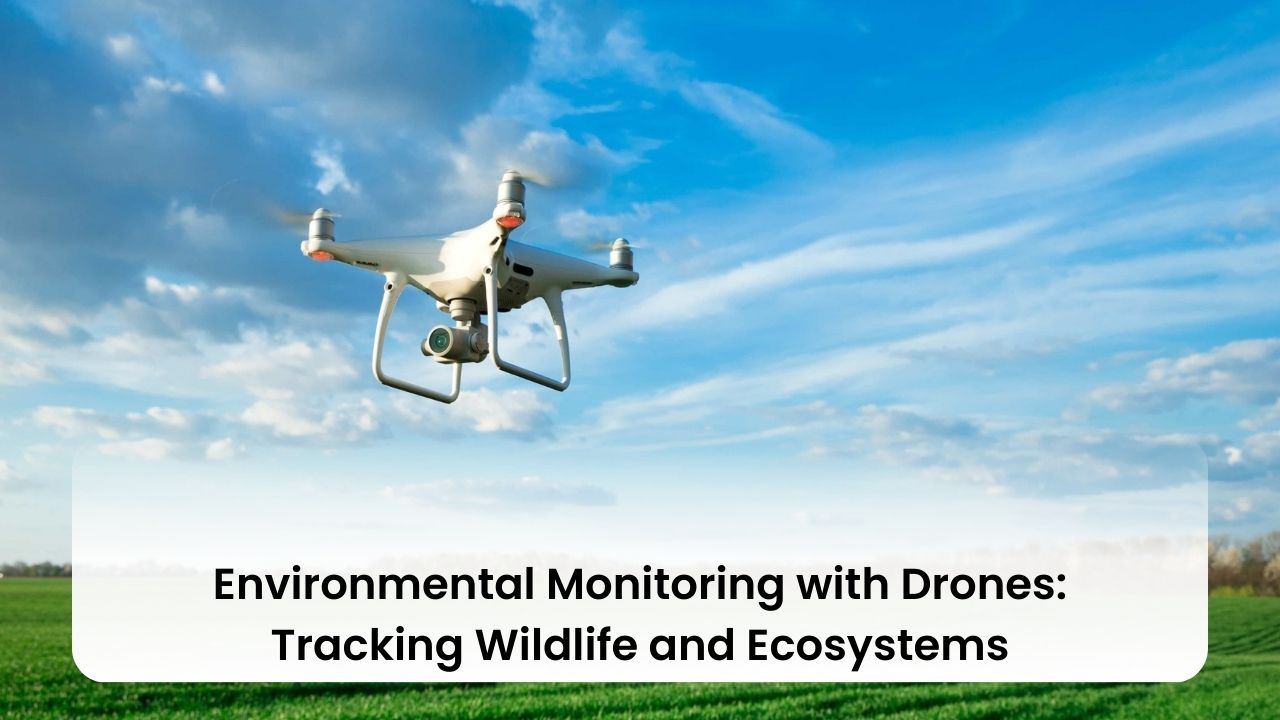Environmental Monitoring with Drones: Tracking Wildlife and Ecosystems